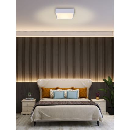 Immax NEO 07238L - Iluminação de teto LED com regulação CANTO LED/22W/230V branco Tuya + controlo remoto