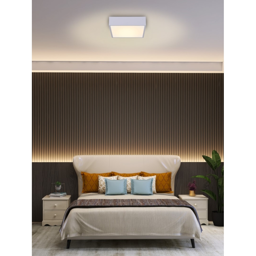 Immax NEO 07238L - Iluminação de teto LED com regulação CANTO LED/22W/230V branco Tuya + controlo remoto