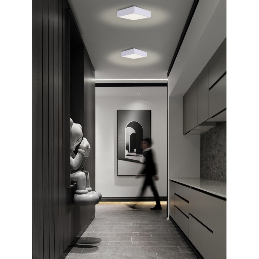 Immax NEO 07238L - Iluminação de teto LED com regulação CANTO LED/22W/230V branco Tuya + controlo remoto