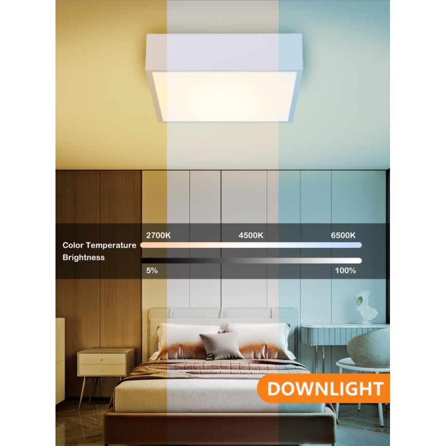Immax NEO 07238L - Iluminação de teto LED com regulação CANTO LED/22W/230V branco Tuya + controlo remoto