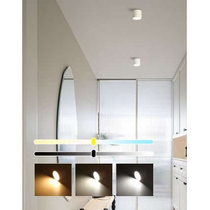 Immax NEO 07241L - Luminária de teto LED regulável RONDATE LED/18W/230V 11,5cm Wi-Fi Tuya
