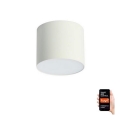 Immax NEO 07243L - Luminária de teto LED regulável RONDATE LED/32W/230V 16,5 cm Wi-Fi Tuya