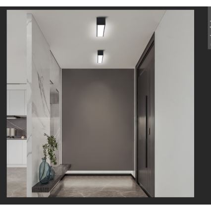 Immax NEO 07254L - Luminária de teto LED dimmerizável NEO LITE LUNGO LED/20W/230V 3000-6000K Wi-Fi Tuya preta + controlo remoto