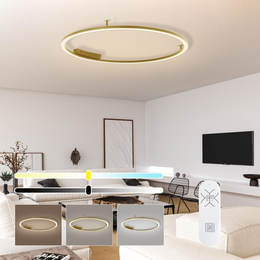 Immax NEO 07290-120G - LED+CCT Luminária de teto dimerizável FINO LED/55W/230V 2700-6500K Tuya Ø 120 cm + controlo remoto
