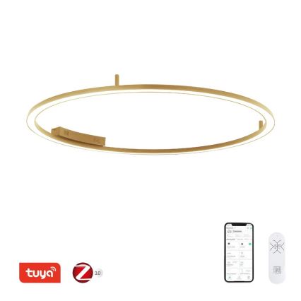 Immax NEO 07290-120G - LED+CCT Luminária de teto dimerizável FINO LED/55W/230V 2700-6500K Tuya Ø 120 cm + controlo remoto