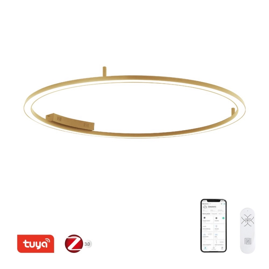 Immax NEO 07290-120G - LED+CCT Luminária de teto dimerizável FINO LED/55W/230V 2700-6500K Tuya Ø 120 cm + controlo remoto