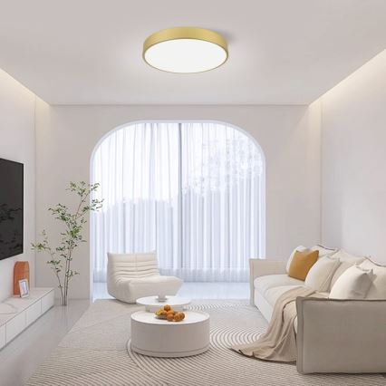 Immax NEO 07292L - LED+CCT Candeeiro de tecto dimerizável SEMPLICI LED/36W/230V 2700-6500K Ø 40 cm + comando remoto
