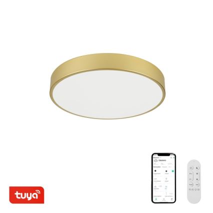 Immax NEO 07292L - LED+CCT Candeeiro de tecto dimerizável SEMPLICI LED/36W/230V 2700-6500K Ø 40 cm + comando remoto