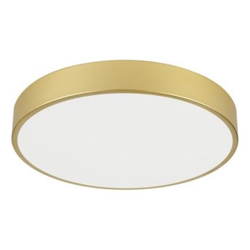 Immax NEO 07292L - LED+CCT Candeeiro de tecto dimerizável SEMPLICI LED/36W/230V 2700-6500K Ø 40 cm + comando remoto
