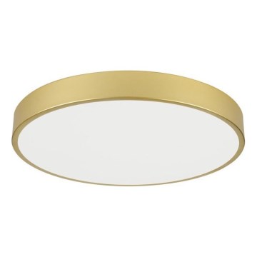 Immax NEO 07293L - LED+CCT Candeeiro de teto dimerizável SEMPLICI LED/60W/230V 2700-6500K Ø 60 cm + comando remoto