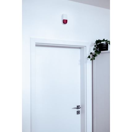 Immax NEO 07504L - Sirece inteligente SMART 5V/95dB ZigBee 3.0 IP65 Tuya