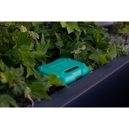 Immax NEO 07509L - Sensor de humidade e temperatura do solo NEO LITE Wi-Fi 3xAAA IP65