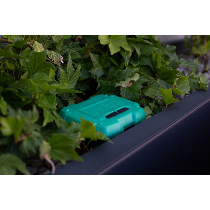 Immax NEO 07509L - Sensor de humidade e temperatura do solo NEO LITE Wi-Fi 3xAAA IP65