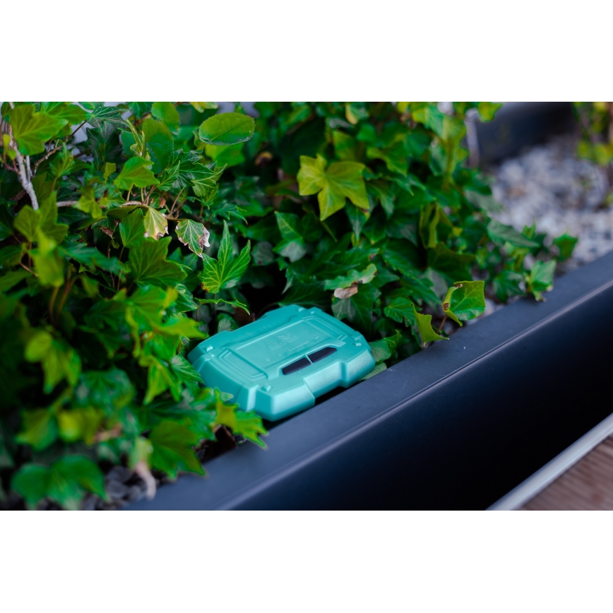 Immax NEO 07509L - Sensor de humidade e temperatura do solo NEO LITE Wi-Fi 3xAAA IP65