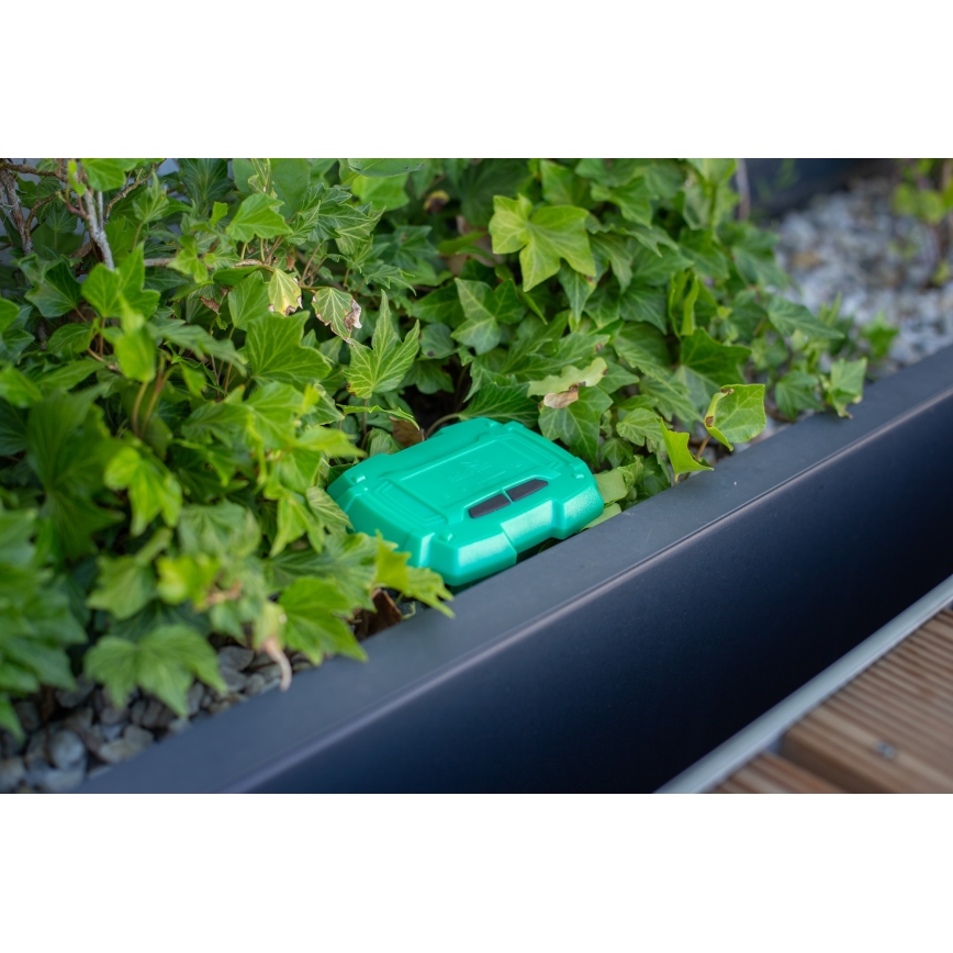 Immax NEO 07509L - Sensor de humidade e temperatura do solo NEO LITE Wi-Fi 3xAAA IP65