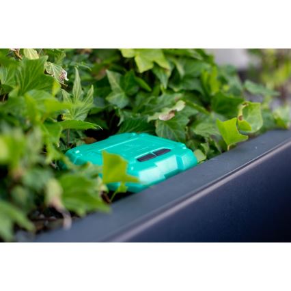 Immax NEO 07509L - Sensor de humidade e temperatura do solo NEO LITE Wi-Fi 3xAAA IP65
