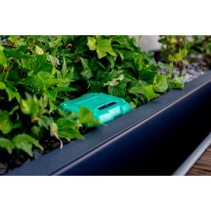 Immax NEO 07509L - Sensor de humidade e temperatura do solo NEO LITE Wi-Fi 3xAAA IP65