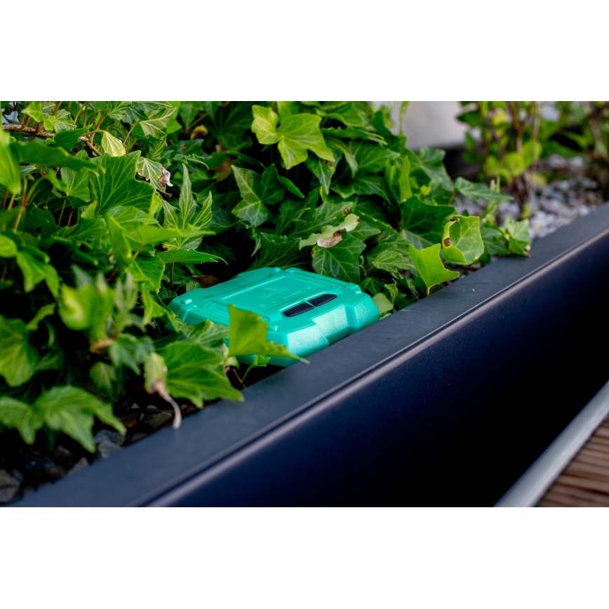 Immax NEO 07509L - Sensor de humidade e temperatura do solo NEO LITE Wi-Fi 3xAAA IP65