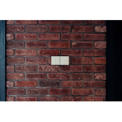 Immax NEO 07513L - 2-interruptores de botão SMART 230V Wi-Fi Tuya