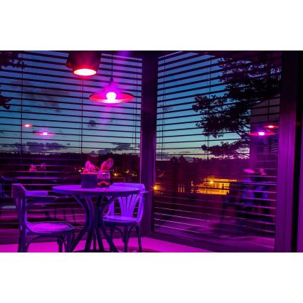 Immax NEO 07712L - LED RGB+CCT Lâmpada com regulação NEO LITE Smart E27/9W/230V Wi-Fi Tuya 2200 - 6500K