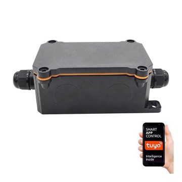 Immax NEO 07746L - Interruptor inteligente de exterior NEO LITE 3680W/230V/16A IP68 Wi-Fi Tuya