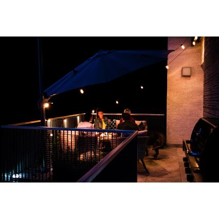 Corrente exterior regulável LED RGB+CCT GARLAND 15xLED/1W/230V 15m Wi-Fi Tuya IP65 + comando