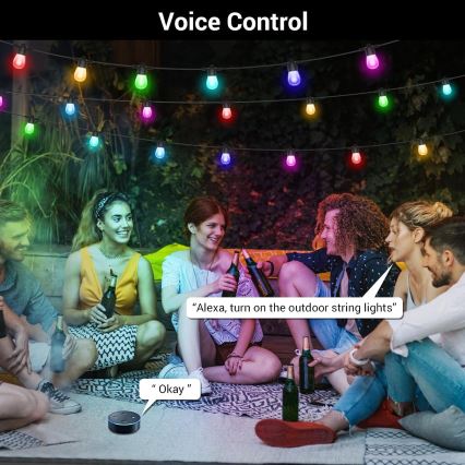 Corrente exterior regulável LED RGB+CCT GARLAND 15xLED/1W/230V 15m Wi-Fi Tuya IP65 + comando