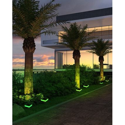 Immax NEO 07911L - LED RGB Iluminação solar com regulação e sensor NEO LITE LED/1W/5V angular IP54 Tuya