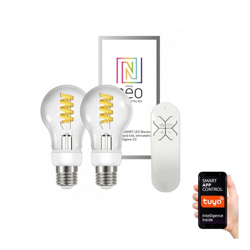 Immax Neo - CONJUNTO 2x Lâmpada fosca LED FILAMENT E27/5W/230V 2700-6000K + RC