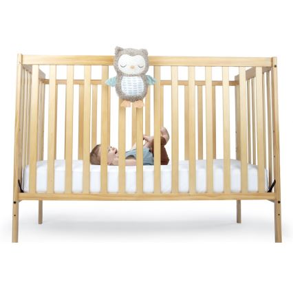Ingenuity - Brinquedo de peluche musical NALLY coruja