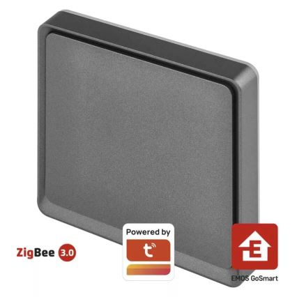 Interruptor 1-botão GoSmart 1xCR2430 Tuya preto