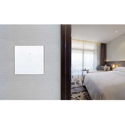 Interruptor de casa SWITCH 1000W/230V Wi-Fi Tuya