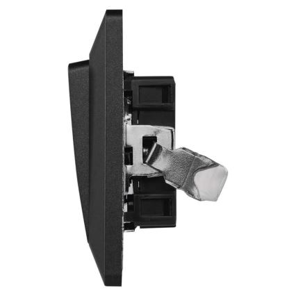 Interruptor doméstico alternado 250V/10A antracite