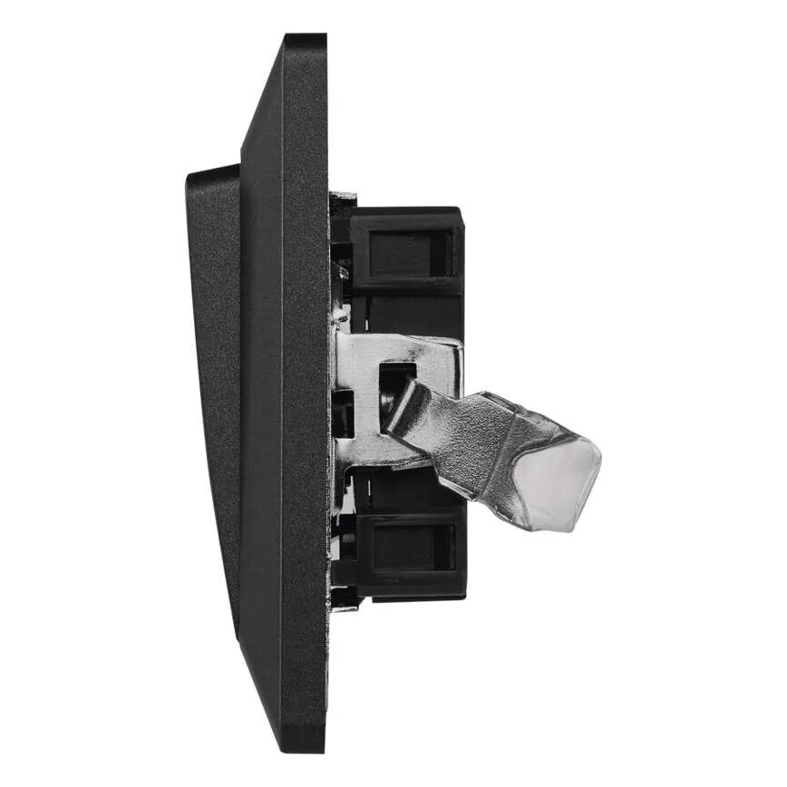 Interruptor doméstico alternado 250V/10A antracite