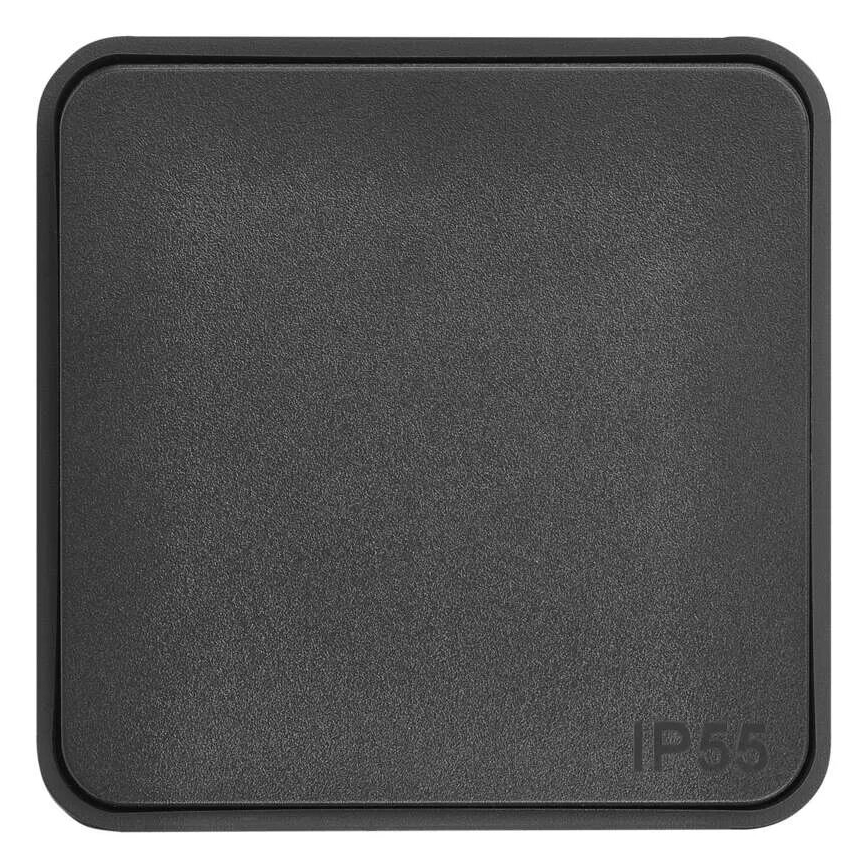 Interruptor doméstico ligar 250V/10A IP55