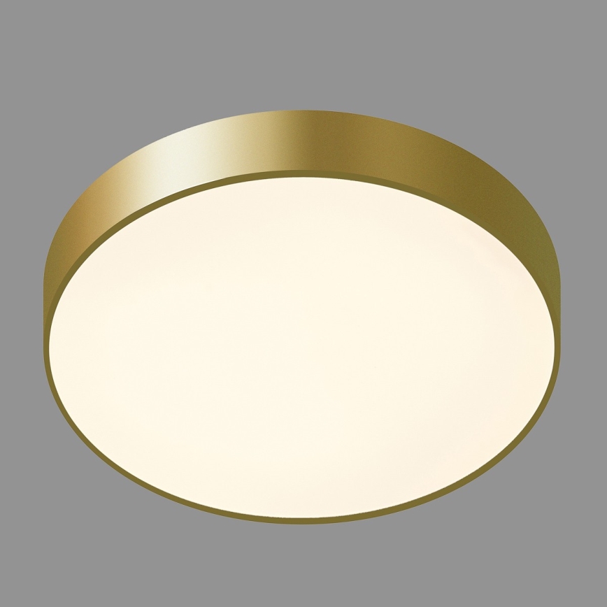 ITALUX - Iluminação de teto LED ORBITAL LED/30W/230V 3000K dourada