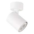 ITALUX - Foco LUMSI 1xGU10/35W/230V branco
