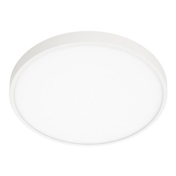 ITALUX - Iluminação de teto LED RIBERIO LED/30W/230V 4000K branco