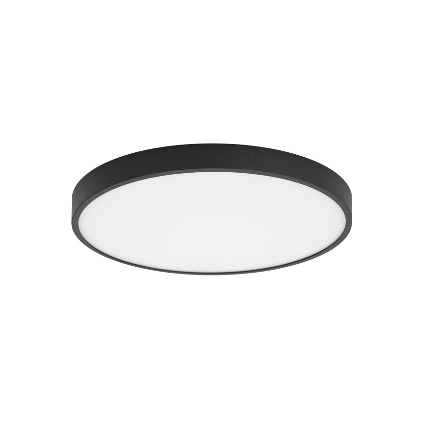 ITALUX - Iluminação de teto LED RIBERIO LED/30W/230V 4000K preto