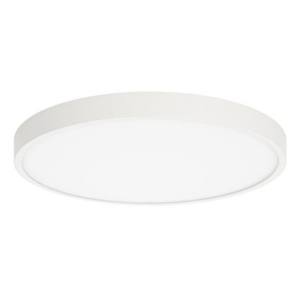 ITALUX - Iluminação de teto LED RIBERIO LED/30W/230V 3000K branco
