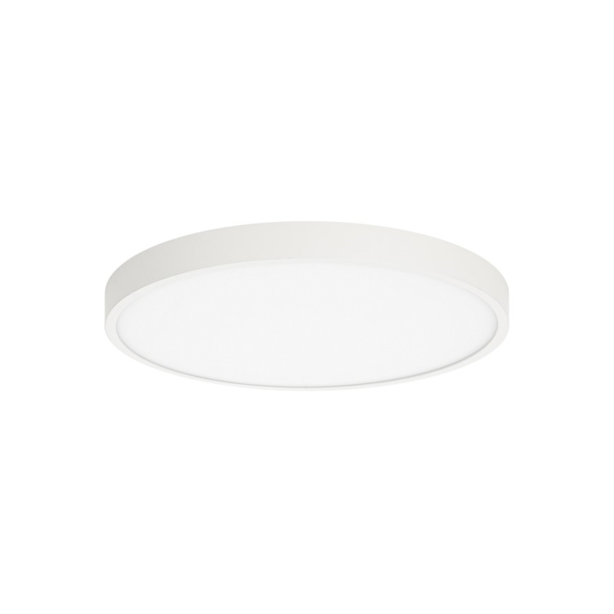 ITALUX - Iluminação de teto LED RIBERIO LED/30W/230V 3000K branco