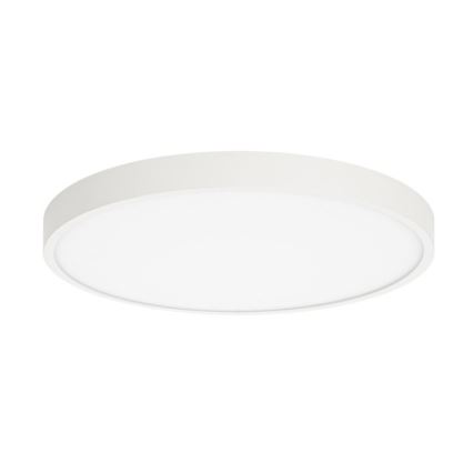 ITALUX - Iluminação de teto LED RIBERIO LED/30W/230V 4000K branco