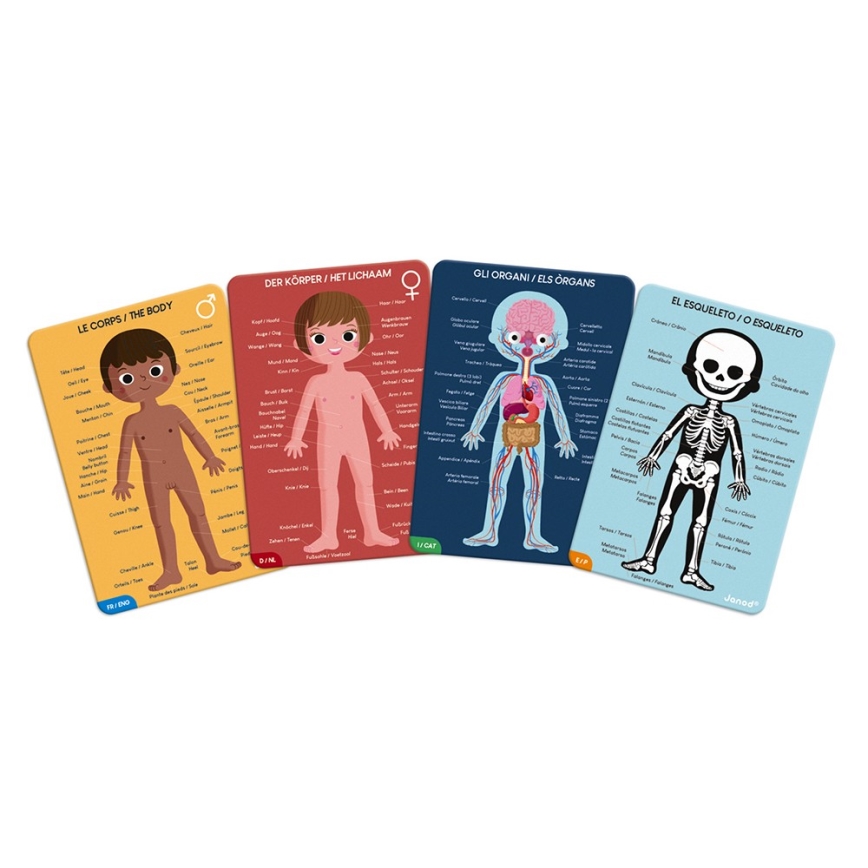 Janod - Puzzle educativo para crianças 225 pcs corpo humano