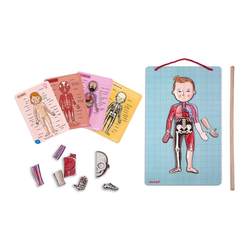 Janod - Puzzle magnético BODYMAGNET corpo humano