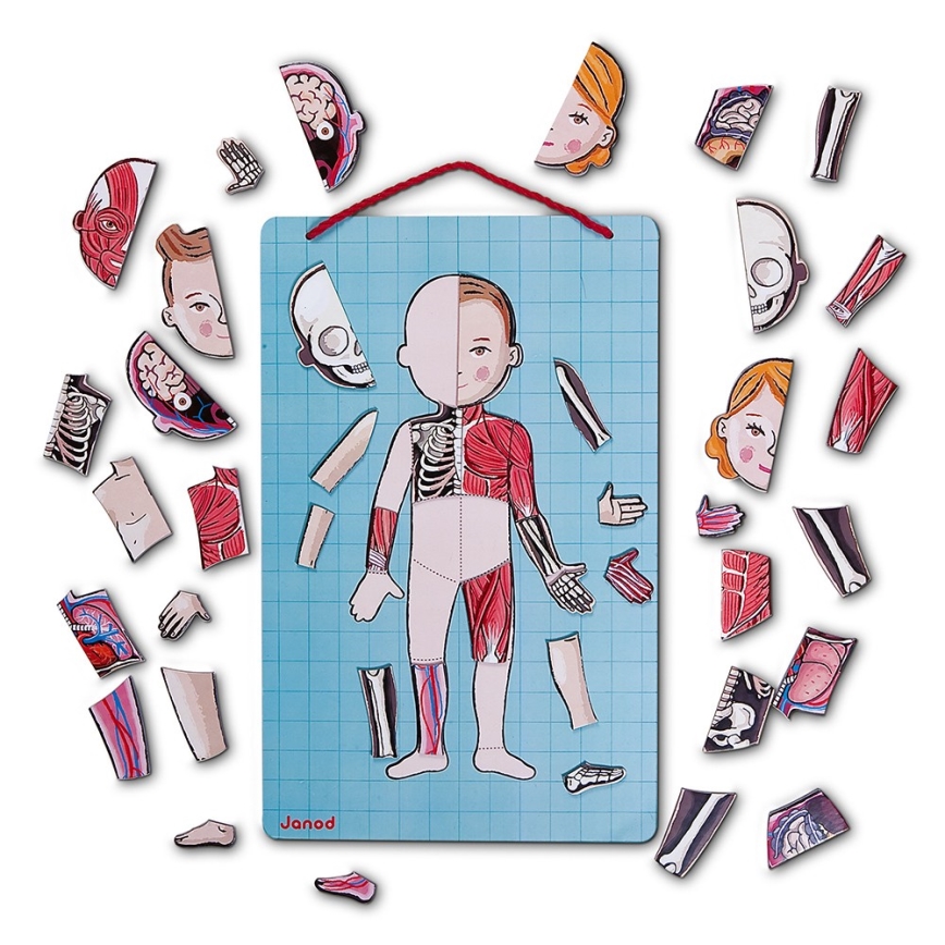 Janod - Puzzle magnético BODYMAGNET corpo humano