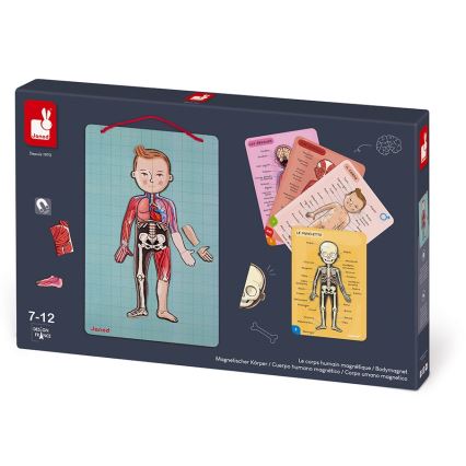 Janod - Puzzle magnético BODYMAGNET corpo humano