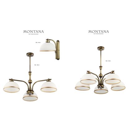Jupiter 1164 - Luz pendente MONTANA 5xE27/60W/230V