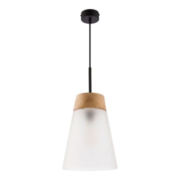 Jupiter 1538 - DM 1 MA - Luz pendente DOMINO E27/60W