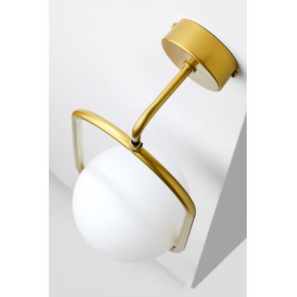 Jupiter 2043 - Candeeiro de parede IGON 1xE14/40W/230V dourado