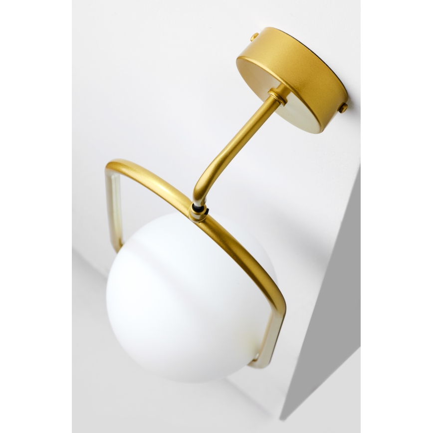 Jupiter 2043 - Candeeiro de parede IGON 1xE14/40W/230V dourado